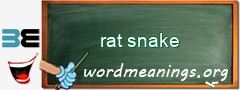 WordMeaning blackboard for rat snake